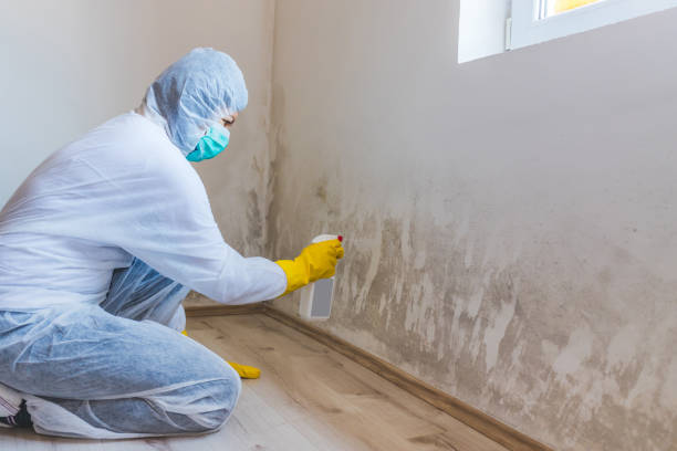 Licensed Mold Testing service in Lake Forest, IL - WQB Mold Removal