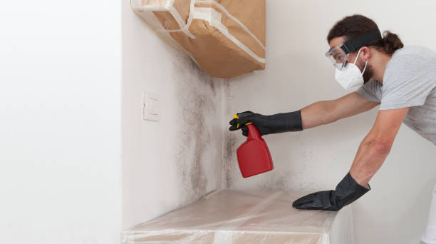 Professional Mold Testing technician working in Lake Forest, IL