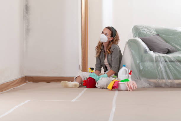 Reliable Mold Testing contractor in Lake Forest, IL by WQB Mold Removal